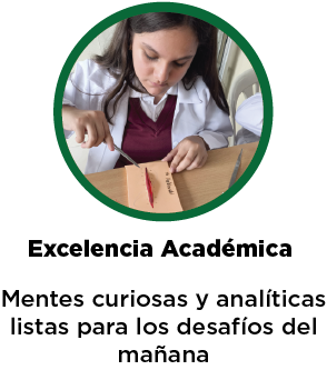 Excelencia Académica Unidad educativa Paul Ausubel