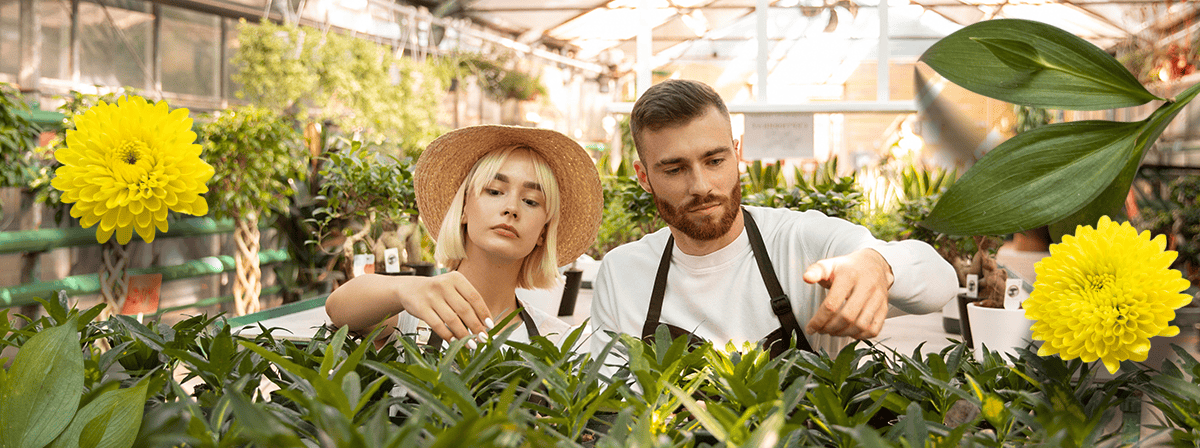 Jardinería Básica Online