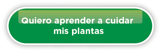 Quiero aprender a cuidar mi jardin